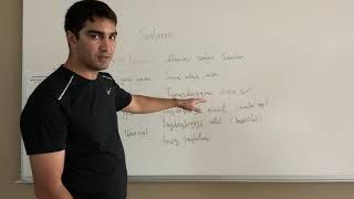 Turkmen Language Lesson with Suvan Jummeyyev