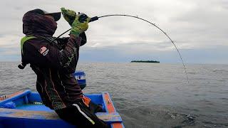 Joran Seahawk dibuat Melengkung gak Karuan di Spot ini, Ikan Besarnya Kelaparan Makan Umpan !!