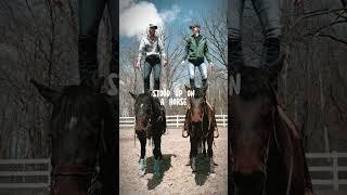 WATCH THIS IF YOU ARE AN EQUESTRIAN!! #singalong #equestrian #viral #shorts #foryou #horses