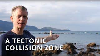 Tectonic Collision at the Hikurangi subduction zone