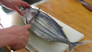 Best Bonito Fish Filleting Skills Fastest Filleting Fish