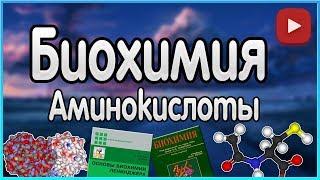 Биохимия. Лекция 1. Аминокислоты