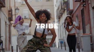 Amapiano Dance Instrumental "Tribe" | Energetic High Vibes