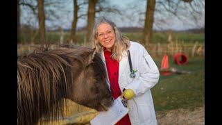 Medical Training für Pferde mit Nina Steigerwald