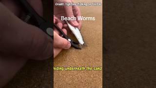 SNAKE SIZED WORMS at the beach  #fishing #worms #bugs #viral