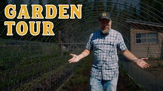 2024 Garden Tour | What's Going On With Our Tomatoes?