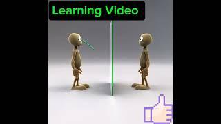 How much long mirror do you need to see your full reflection. #education #animation