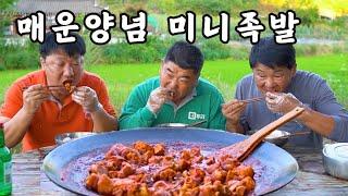 [시골먹방] 족발 이렇게 하면 제일 맛있다!!! 매콤하고 쫄깃한 매운양념 미니족발 먹방 [Spicy Mini Jokbal] MUKBANG/EATING SHOW