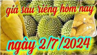 giá sầu riêng hôm nay ngày 2/7/2024