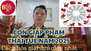 Các con giáp phạm Thái Tuế năm 2025 và cách hóa giải | Tử vi tướng số Hà Nội