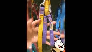 There are so many kinds of pet leashes, so let your friends come and see.