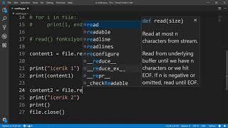 Python - Dosya Okuma