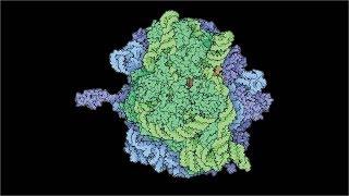 Origins of Life: Introduction - Pattern Formation  - Reaction Diffusion Systems | Chris Kempes