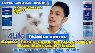 TRANSFER FACTOR - Untuk kesehatan & melawan virus Panleukopenia Calici dll- utk manusia/hewan