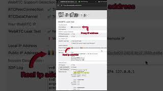 Are WebRTC leaks a problem when trying to hide your IP address?