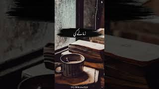 Heart Touching Poetry || Sad Status ||  || Urdu Poetry #short #status