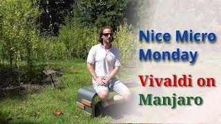 The Vivaldi  browser on Manjaro - Nice Micro Monday #12