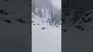 Most Beautiful SNOWFALL at Kareri Lake  WAKING up to this #karerilake #himachalpradesh #trek