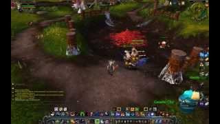 Best WoW Bug Ever