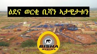 ዕደና ቢሻ ኤርትራ/Eritrea Mining Bisha