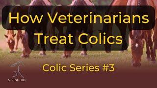 How Veterinarians Treat Colic Horses
