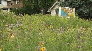 Great Gardening - Prairie Style