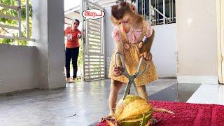 Monkey Lyly couldn't ask her mother for help so she peeled the coconut to drink by herself.