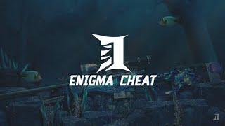 настройка чита Enigma