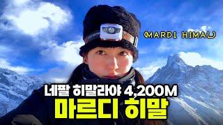 #9 네팔 히말라야의 숨겨진 천국, 마르디 히말에 오르는 마지막 대장정 (️4,200m) - [네팔27]