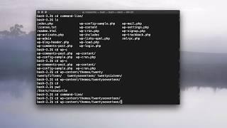 Command Line/Terminal Basics 3: Autocomplete and command history