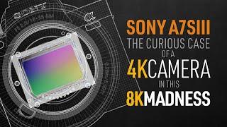 A7SIII: The Curious Case of a 4K CAMERA in this 8K MADNESS!