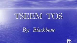 Hmong Love Song by Blackbone - Tseem Tos