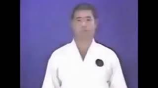 Gekisai dai ichi bunkai goju-ryu karate Morio Higaonna