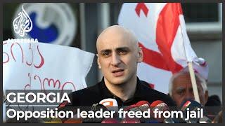 Georgia frees opposition leader Melia after court ruling