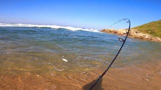 Fishing! Shad Bust Ups!! Cuttings Beach. KZN. Durban