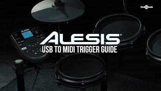 Alesis USB to Midi trigger guide | Gear4music