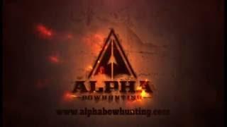 Alpha Challenge course explained