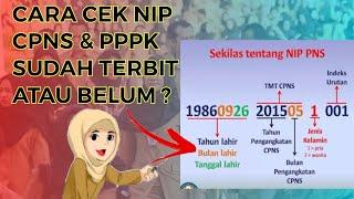 Cara Cek NIP CPNS dan PPPK Apakah Sudah Terbit Atau Belum ?