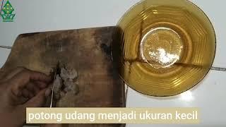 Menu MPASI Bayi 10bulan "Nasi Tim Udang Sayur"