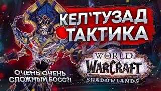 ТАКТИКА Кел'Тузад БОСС СВЯТИЛИЩЕ ГОСПОДСТВА wow shadowlands 9.1