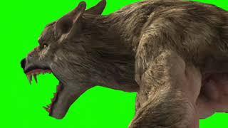 Wolf Monster Green screen effect running