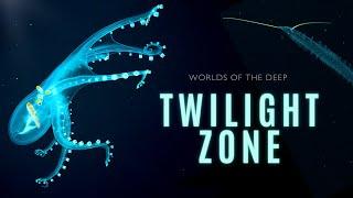 Mysteries of the Twilight Zone | Worlds of the Deep