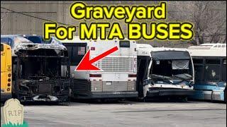 Eastchester Depot: Where Old MTA Buses Go to Die