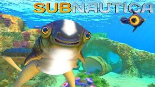 Subnautica - Exploring New Creatures!! Best Survival Game of 2017!! (Subnautica)