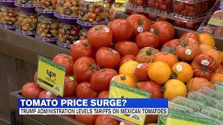 Tomato prices on the rise after U.S. imposes major tax on tomatoes from Mexico