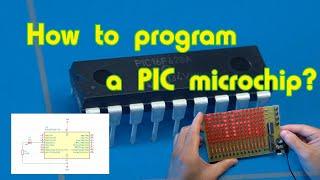 How to program a PIC microchip?