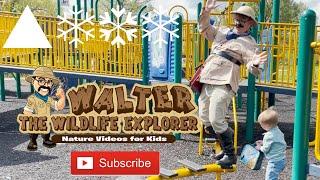 Nature Videos for Toddlers | Fun Outdoor Videos for Kids | Concept.Video 3 - #youtubekids