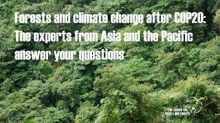 Forests and climate change after COP20