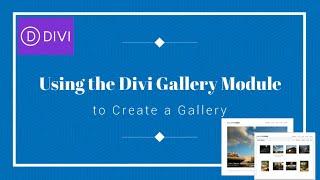 Using the Divi Gallery Module to Create a Gallery | Divi Tutorial