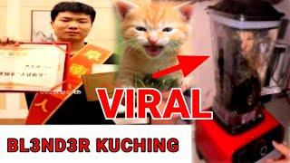 cat video in viral blender || viral blender cat || cat in blender #cat#catdiblender